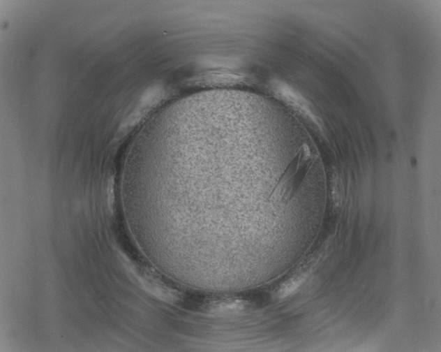 X0000078300206200611101142