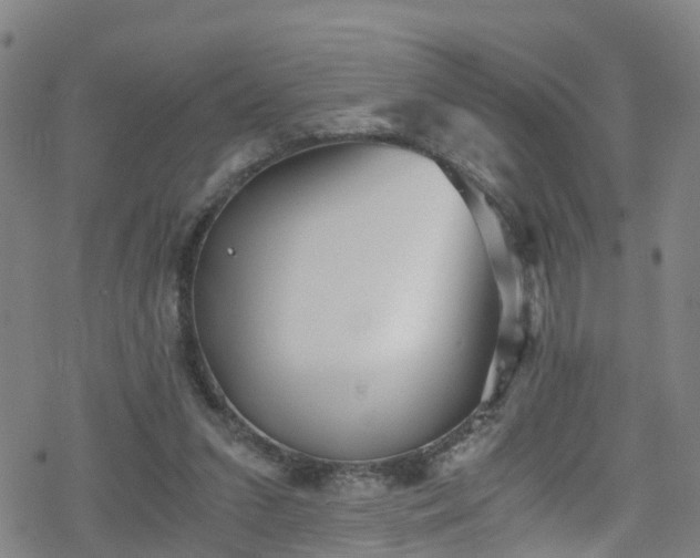 X0000078300207200611101142