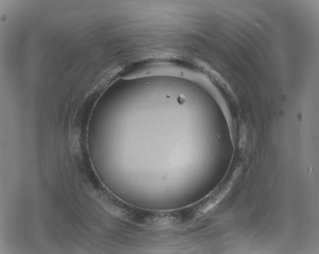 X0000078300209200611101142