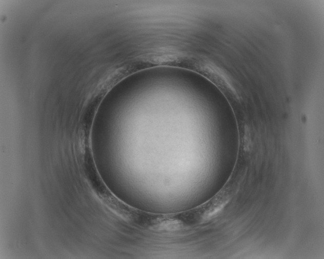 X0000078300210200611101142