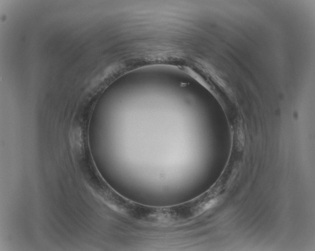 X0000078300211200611101142