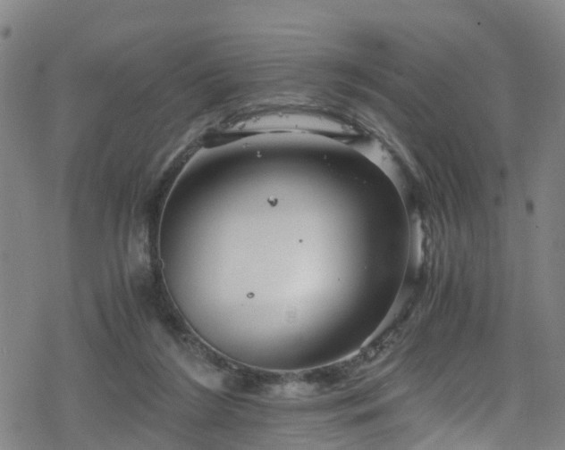 X0000078300212200611101142