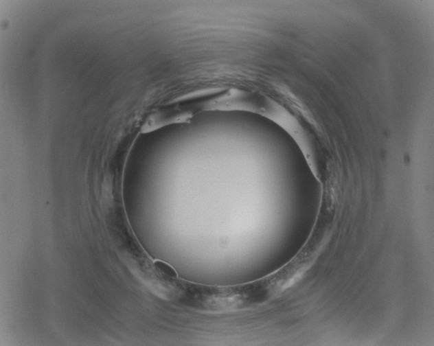 X0000078300213200611101142