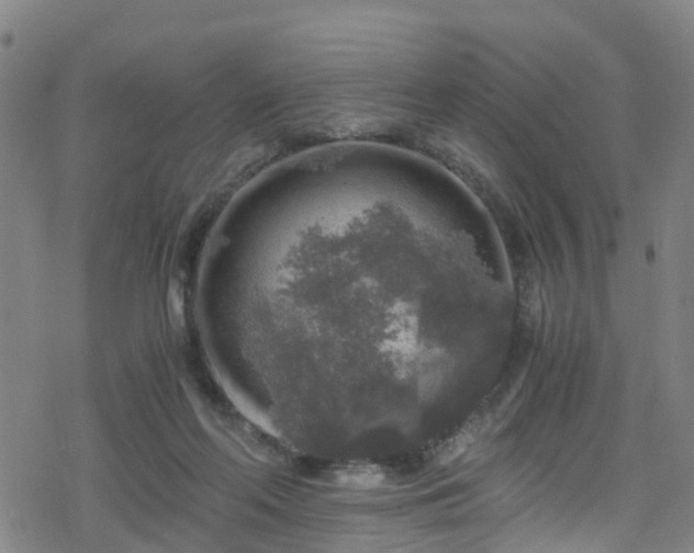 X0000078300214200611101142