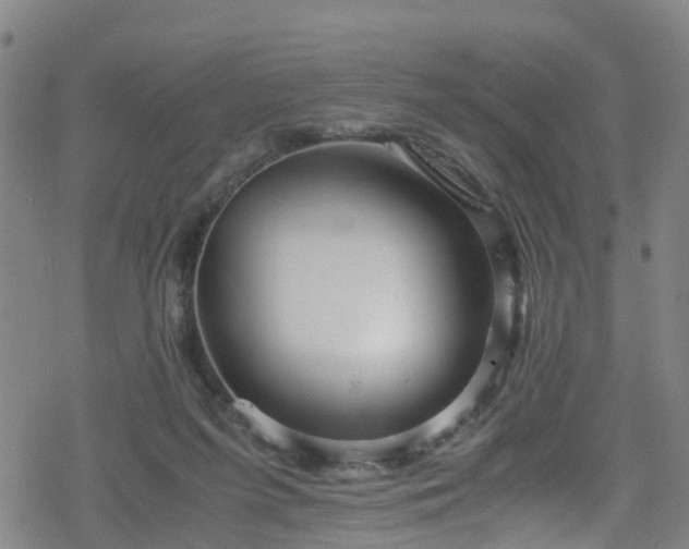 X0000078300215200611101142