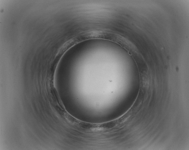 X0000078300216200611101142