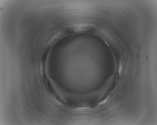 X0000078300219200611101142