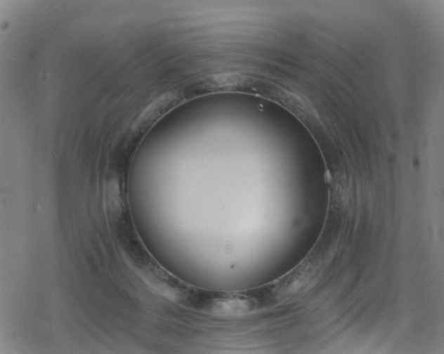 X0000078300220200611101142