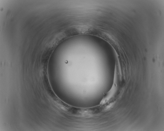 X0000078300221200611101142