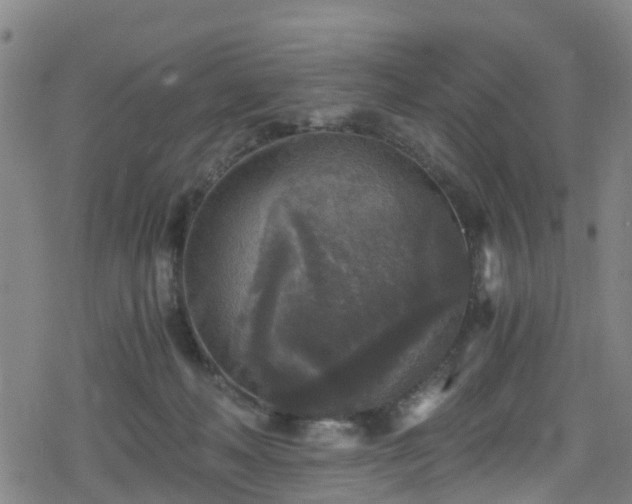 X0000078300222200611101142