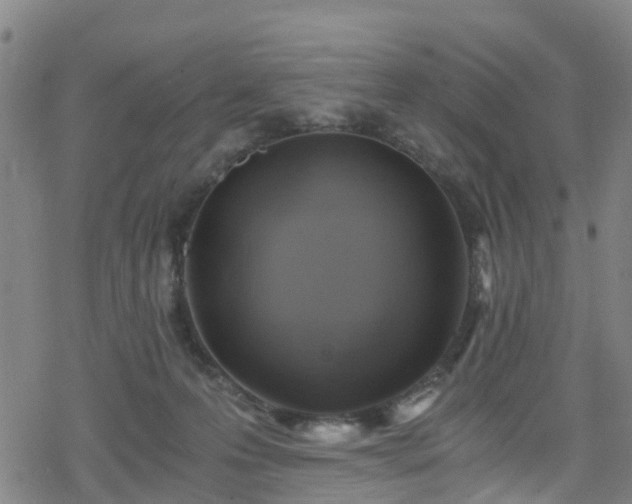 X0000078300223200611101142