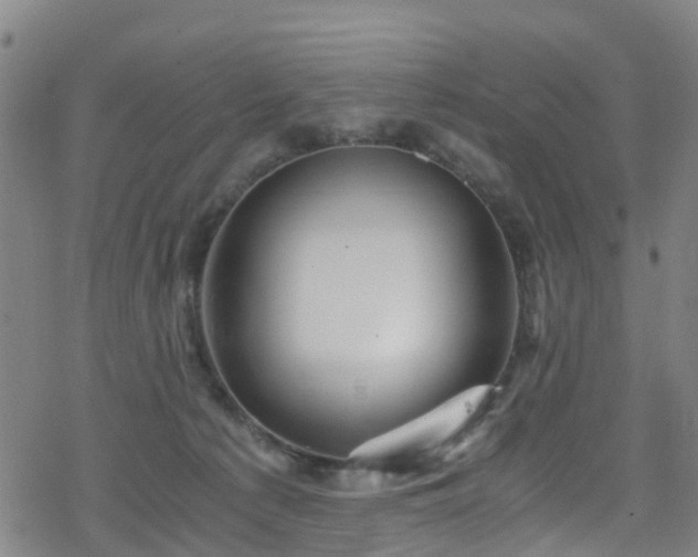 X0000078300225200611101142