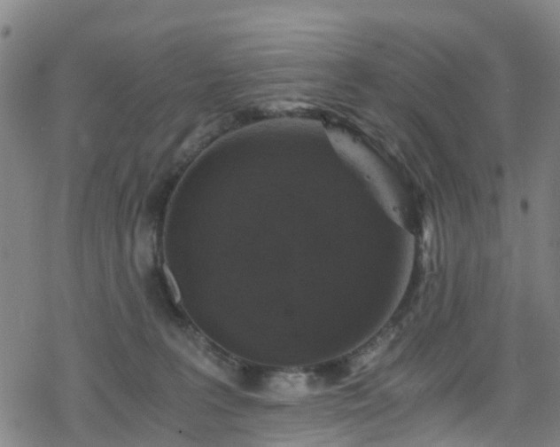 X0000078300227200611101141