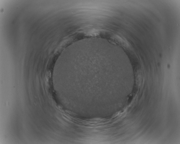 X0000078300229200611101141