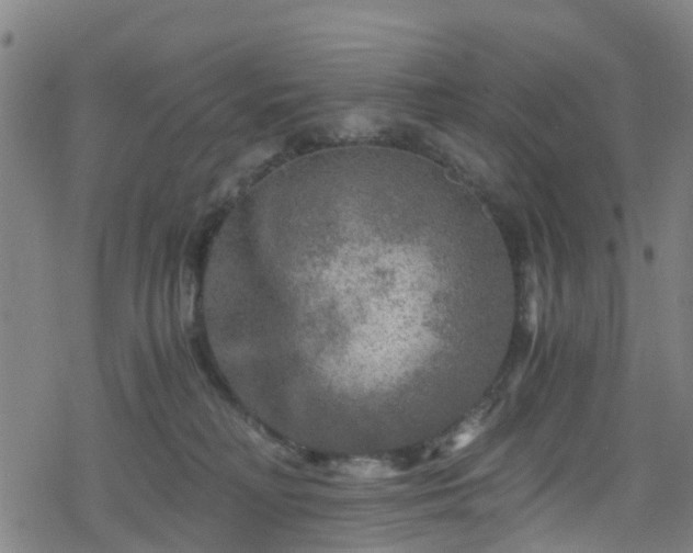 X0000078300230200611101141