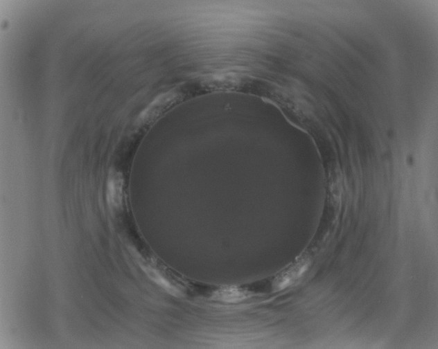 X0000078300231200611101141