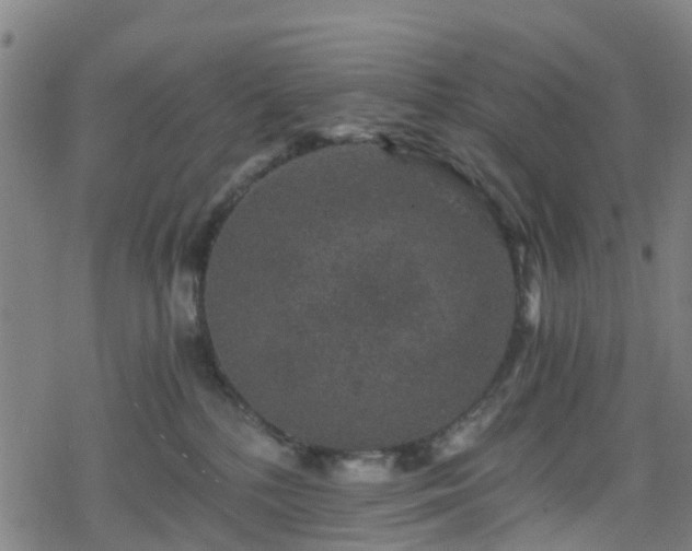 X0000078300232200611101141