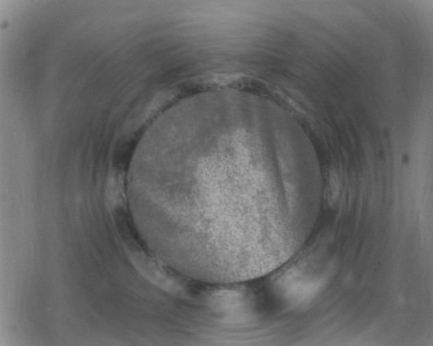 X0000078300236200611101141