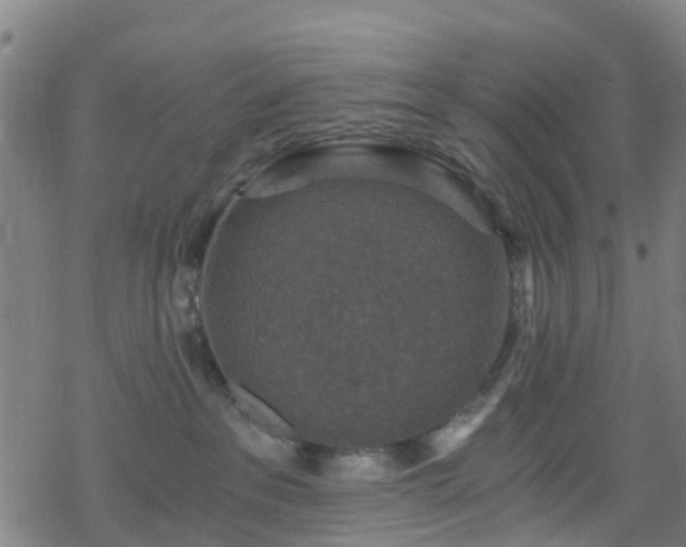 X0000078300237200611101141