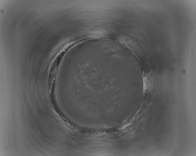 X0000078300243200611101141