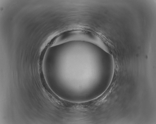 X0000078300244200611101141