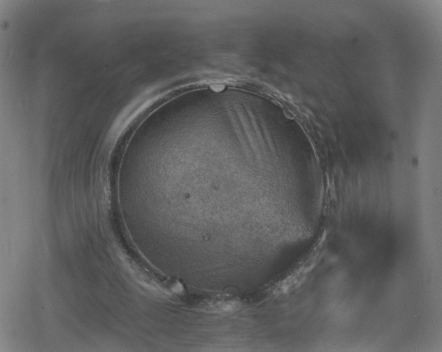 X0000078300247200611101141