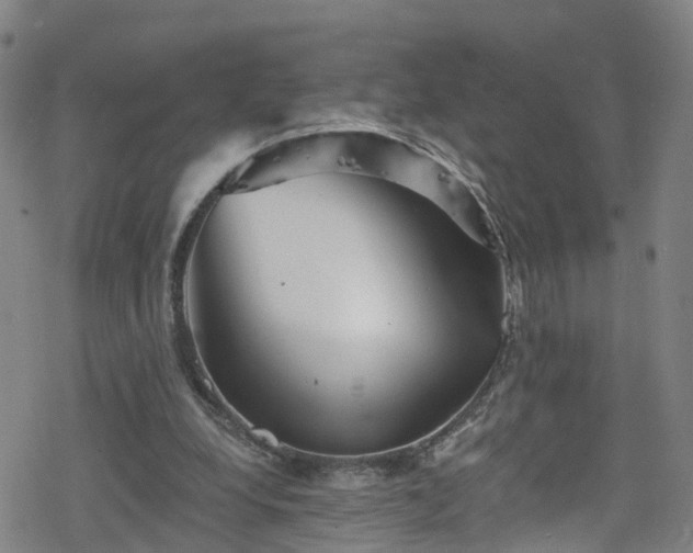 X0000078300248200611101141