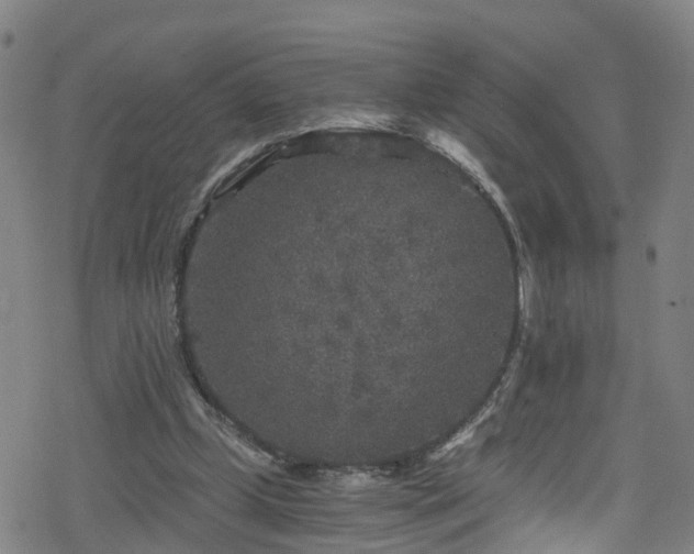 X0000078300249200611101141