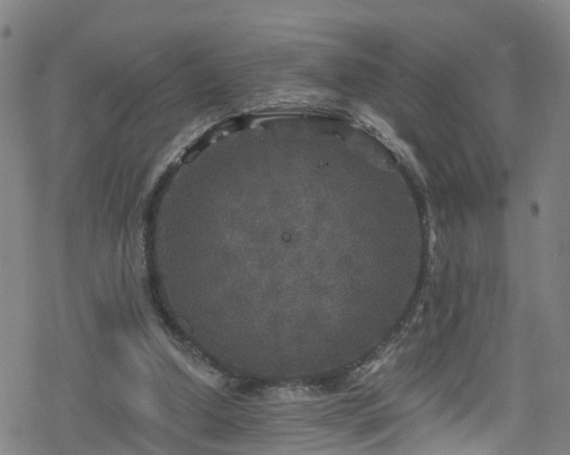 X0000078300250200611101141