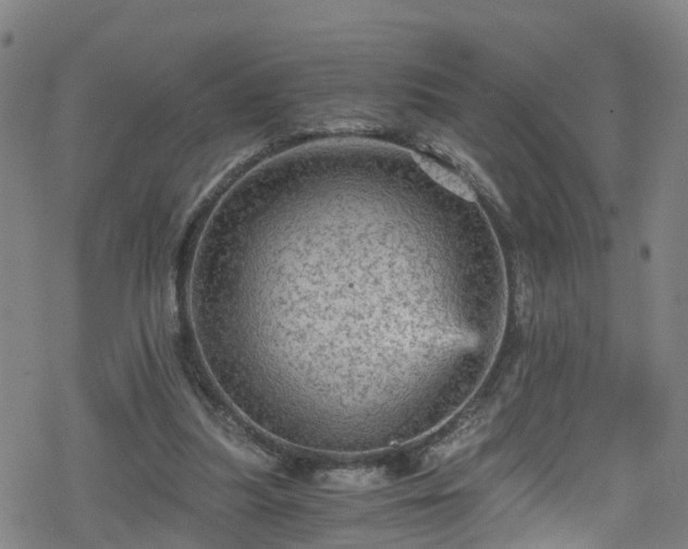 X0000078300251200611101141