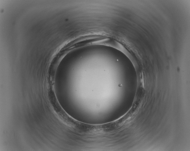 X0000078300252200611101141