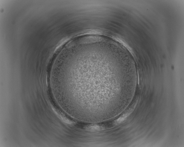 X0000078300253200611101141