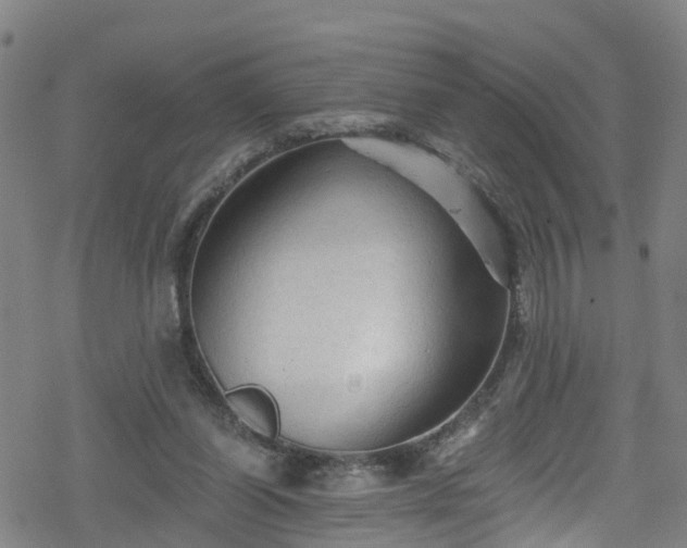 X0000078300254200611101141