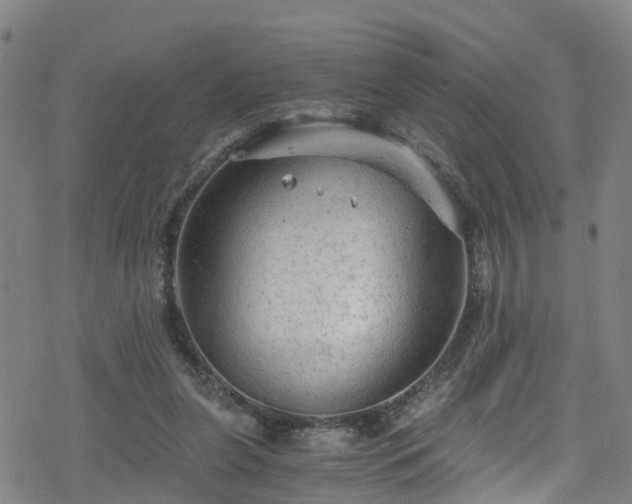 X0000078300255200611101141