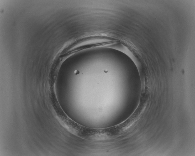 X0000078300256200611101141