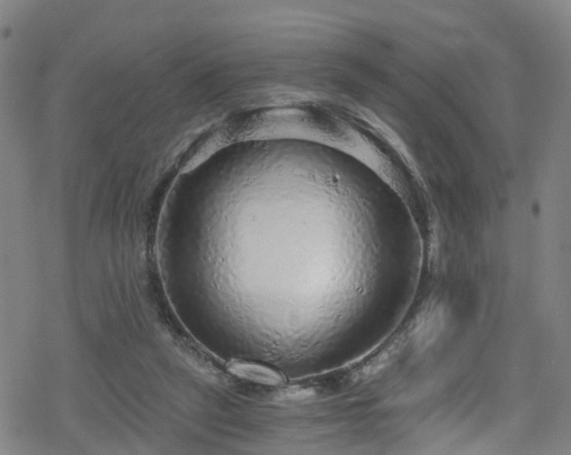 X0000078300257200611101141