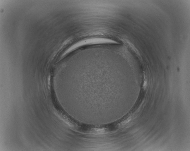 X0000078300260200611101141