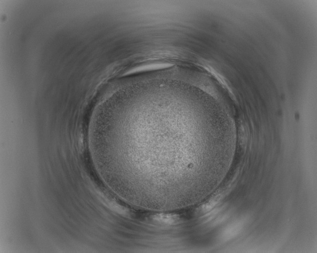 X0000078300261200611101141