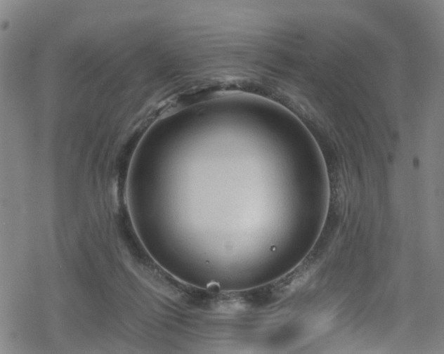 X0000078300262200611101141