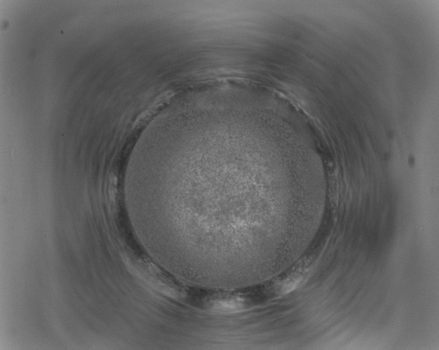 X0000078300263200611101141