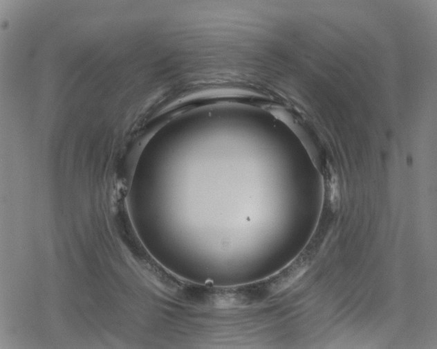 X0000078300264200611101141