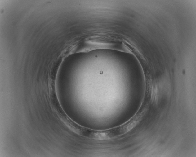 X0000078300265200611101141