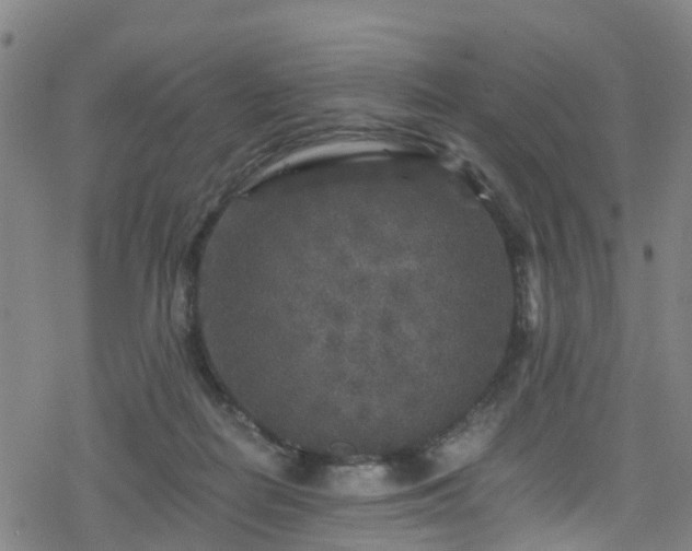 X0000078300266200611101141