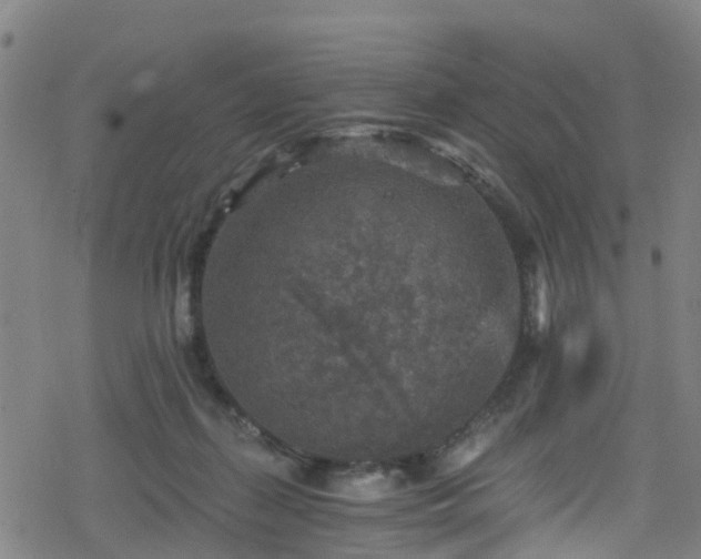 X0000078300267200611101141