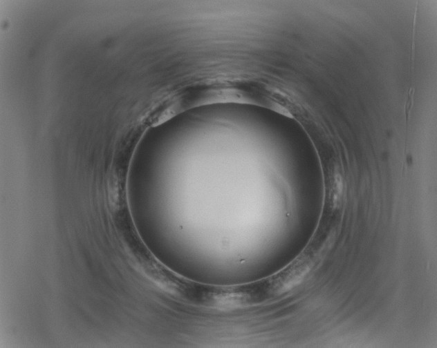 X0000078300268200611101141