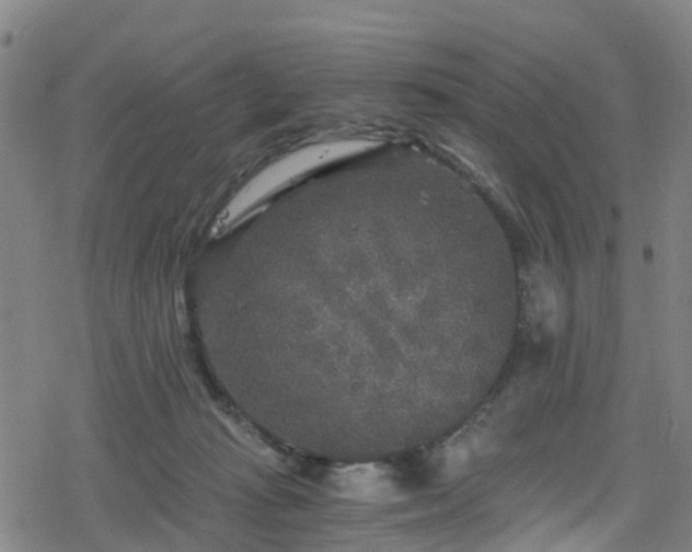 X0000078300269200611101141