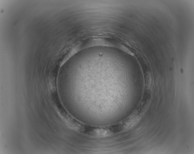 X0000078300272200611101141