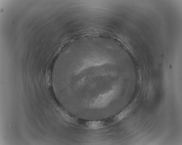 X0000078300273200611101141