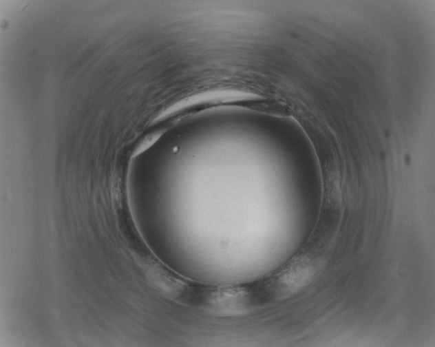 X0000078300274200611101141