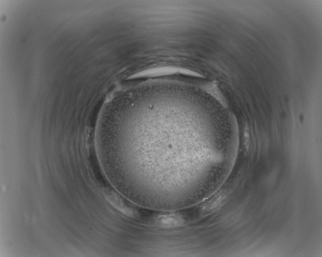 X0000078300275200611101141